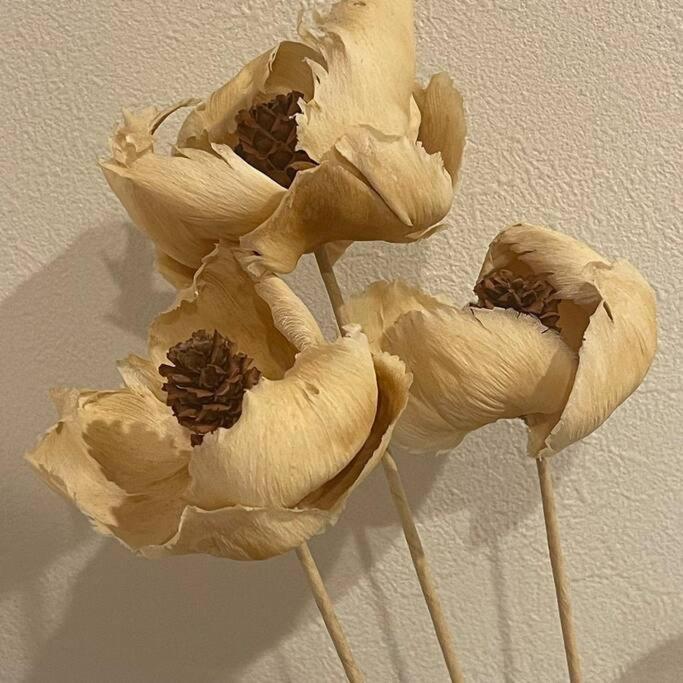 ヴィラ 茶隐の宿